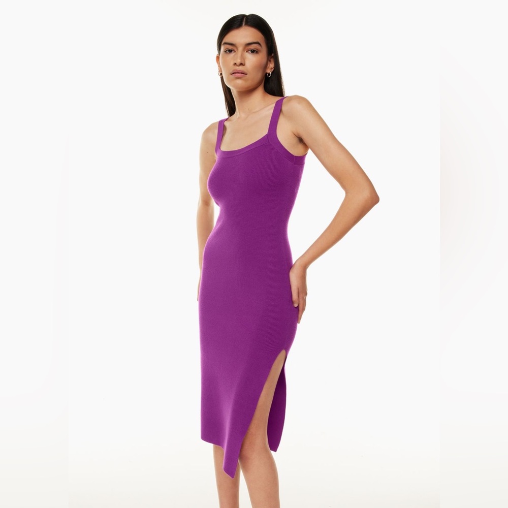 Aritzia Babaton
Chase Dress